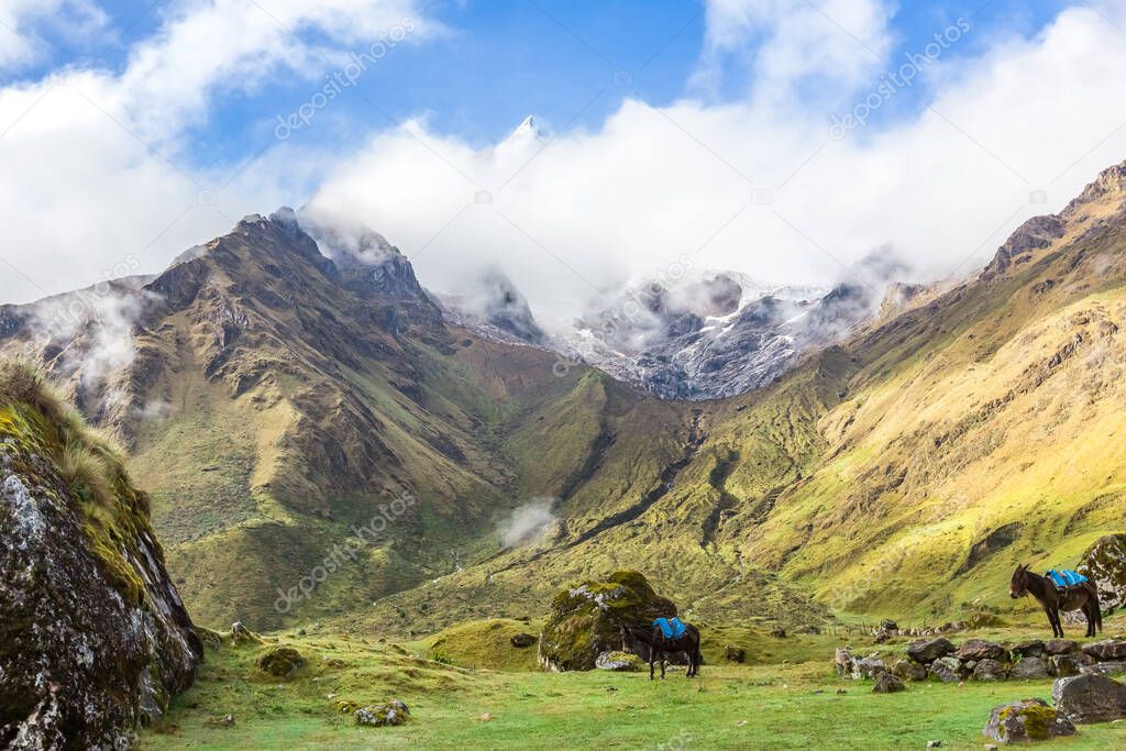 Salkantay Trekking in Peru, South America.