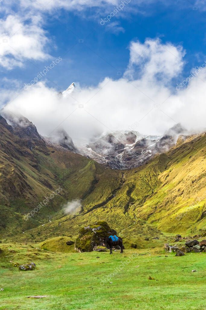 Salkantay Trekking in Peru, South America.