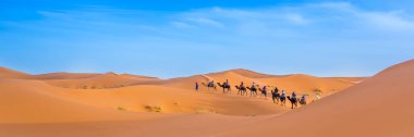 Fas 'taki Sahra Çölü' nde Merzouga. Afica. Panoramik görünümlü web pankartı.