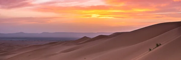 Merzouga Sahara Desert Morocco Afica Web Banner Panoramic View — Stock Photo, Image