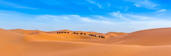 Fas Taki Sahra Çölü Nde Merzouga Afica Panoramik Görünümlü Web — Stok fotoğraf