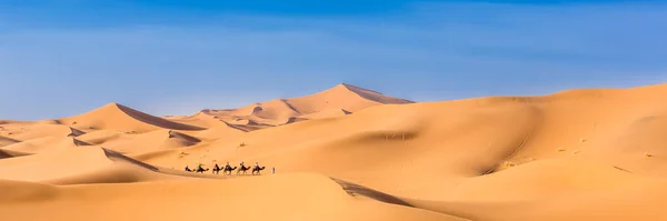 Fas Taki Sahra Çölü Nde Merzouga Afica Panoramik Görünümlü Web — Stok fotoğraf