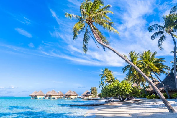 프랑스령 폴리네시아 파노라마처럼 펼쳐진 놀라운 해변의 — 스톡 사진