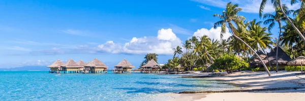 Ilha Bora Bora Polinésia Francesa Banner Web Vista Panorâmica Esta — Fotografia de Stock