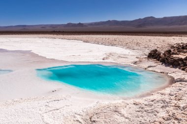 Saklı lagün Baltinache (Lagunas escondidas Baltinache) Atakama Çölü, Şili. Güney Amerika.