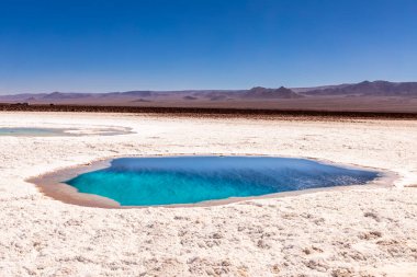 Saklı lagün Baltinache (Lagunas escondidas Baltinache) Atakama Çölü, Şili. Güney Amerika.