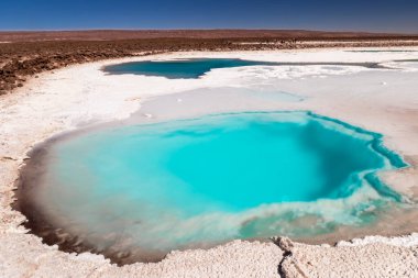 Saklı lagün Baltinache (Lagunas escondidas Baltinache) Atakama Çölü, Şili. Güney Amerika.