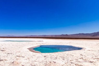 Saklı lagün Baltinache (Lagunas escondidas Baltinache) Atakama Çölü, Şili. Güney Amerika.