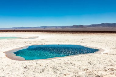 Saklı lagün Baltinache (Lagunas escondidas Baltinache) Atakama Çölü, Şili. Güney Amerika.
