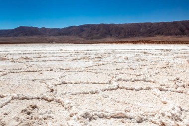 Saklı lagün Baltinache (Lagunas escondidas Baltinache) Atakama Çölü, Şili. Güney Amerika.