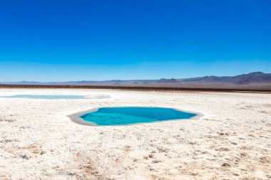 Saklı lagün Baltinache (Lagunas escondidas Baltinache) Atakama Çölü, Şili. Güney Amerika.