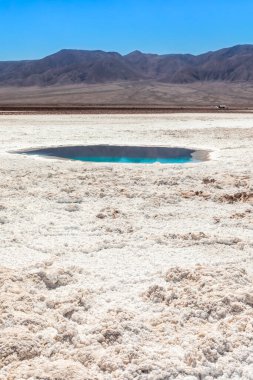 Saklı lagün Baltinache (Lagunas escondidas Baltinache) Atakama Çölü, Şili. Güney Amerika.