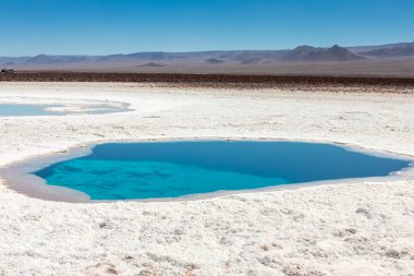 Saklı lagün Baltinache (Lagunas escondidas Baltinache) Atakama Çölü, Şili. Güney Amerika.