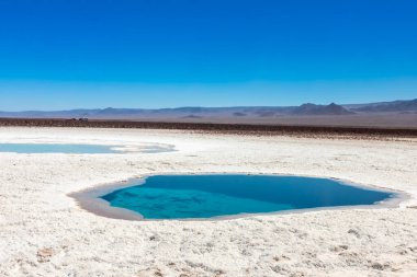 Saklı lagün Baltinache (Lagunas escondidas Baltinache) Atakama Çölü, Şili. Güney Amerika.