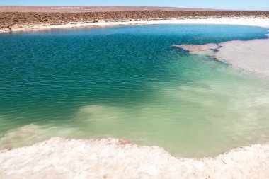 Saklı lagün Baltinache (Lagunas escondidas Baltinache) Atakama Çölü, Şili. Güney Amerika.