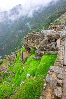 Machu Picchu, Peru 'nun tarihi mabedi. Dünyanın Yeni Yedi Harikası 'ndan biri. Cuzco.