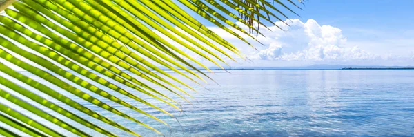 Белиз Тропический Рай Центральной Америке Баннер Панорамным Видом — стоковое фото