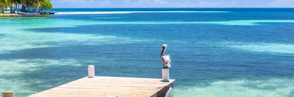 Belize Paraíso Tropical América Central Banner Web Vista Panorâmica — Fotografia de Stock