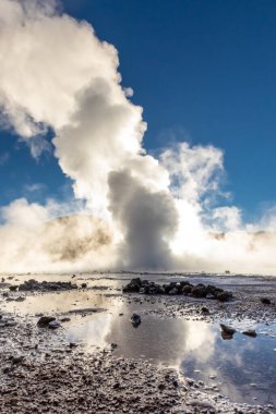 El Tatio gayzerleri, San Pedro de Atacama, Şili. Güney Amerika.