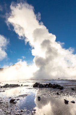 El Tatio gayzerleri, San Pedro de Atacama, Şili. Güney Amerika.