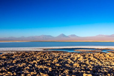Atakama, Şili 'deki Cejar lagünü ve Licancabur volkanı. Güney Amerika.