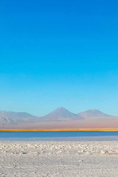 智利阿塔卡马的Cejar泻湖和Licancabur火山 — 图库照片