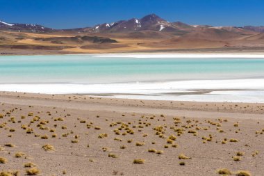 Atacama Çölü, Şili. Salar Aguas Calientes. Tuyacto Gölü. Güney Amerika.