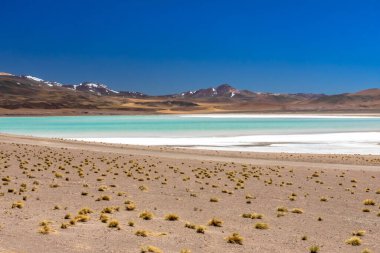 Atacama Çölü, Şili. Salar Aguas Calientes. Tuyacto Gölü. Güney Amerika.