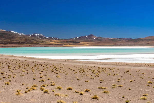 Desierto Atacama Chile Salar Aguas Calientes Lago Tuyacto América Del — Foto de Stock