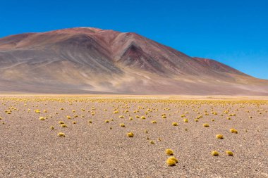 Atacama Çölü, Şili. Salar Aguas Calientes. Tuyacto Gölü. Güney Amerika.