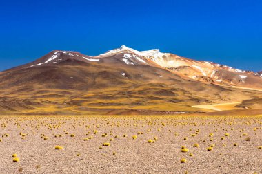 Atacama Çölü, Şili. Salar Aguas Calientes. Tuyacto Gölü. Güney Amerika.