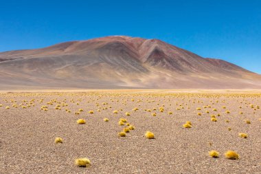 Atacama Çölü, Şili. Salar Aguas Calientes. Tuyacto Gölü. Güney Amerika.
