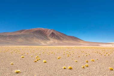Atacama Çölü, Şili. Salar Aguas Calientes. Tuyacto Gölü. Güney Amerika.