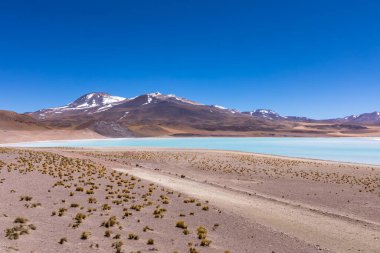 Atacama Çölü, Şili. Salar Aguas Calientes. Tuyacto Gölü. Güney Amerika.