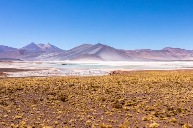 Atacama Çölü, Şili. Salar Aguas Calientes. Tuyacto Gölü. Güney Amerika.