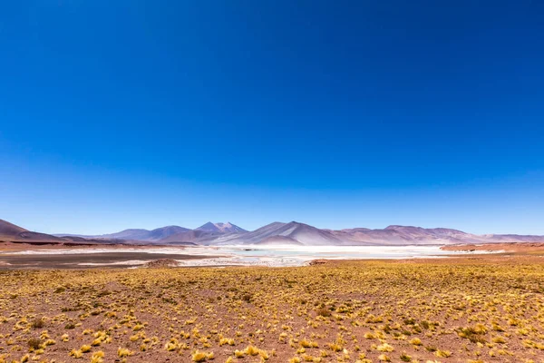 Deserto Atacama Chile Salar Águas Calientes Lago Tuyacto América Sul — Fotografia de Stock