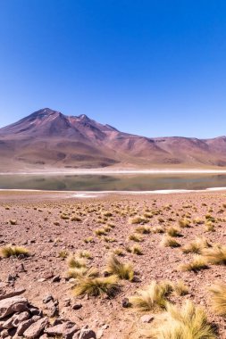 Lagunas Altiplanicas, Miscanti y Miniques, Atacama Çölü 'nün muhteşem manzarası. Şili, Güney Amerika.