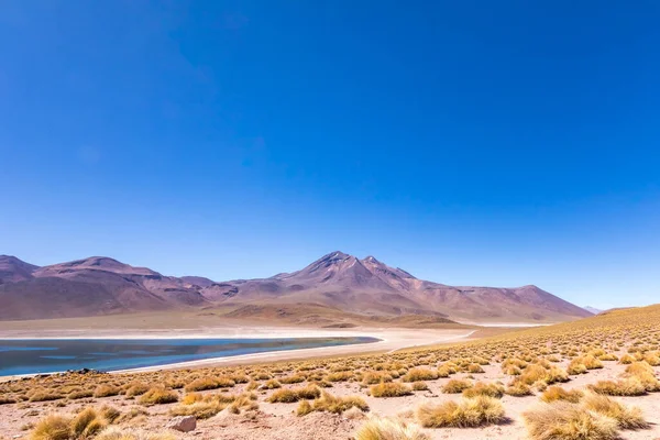 Lagunas Altiplanicas Miscanti Miniques Vista Increíble Desierto Atacama Chile América — Foto de Stock