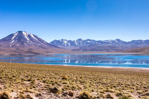 Lagunas Altiplanicas Miscanti Miniques Vista Increíble Desierto Atacama Chile América — Foto de Stock