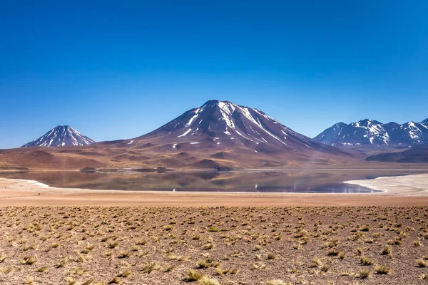 Lagunas Altiplanicas Miscanti Miniques Vista Increíble Desierto Atacama Chile América — Foto de Stock