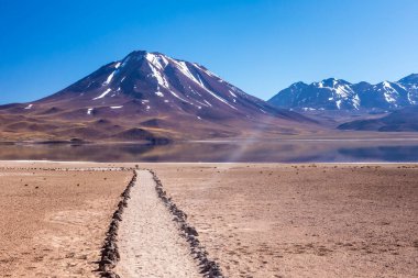 Lagunas Altiplanicas, Miscanti y Miniques, Atacama Çölü 'nün muhteşem manzarası. Şili, Güney Amerika.