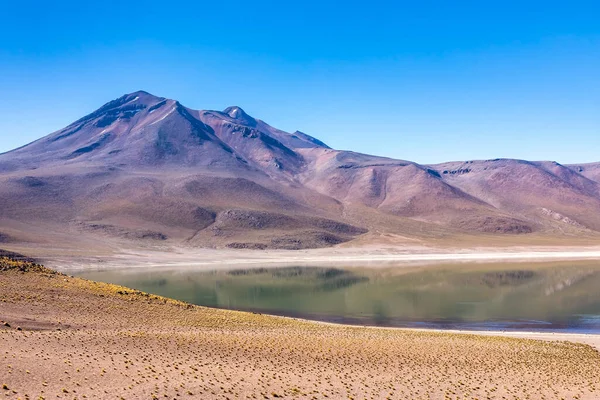 Lagunas Altiplanicas Miscanti Miniques Wspaniały Widok Pustynię Atacama Chile Ameryka — Zdjęcie stockowe