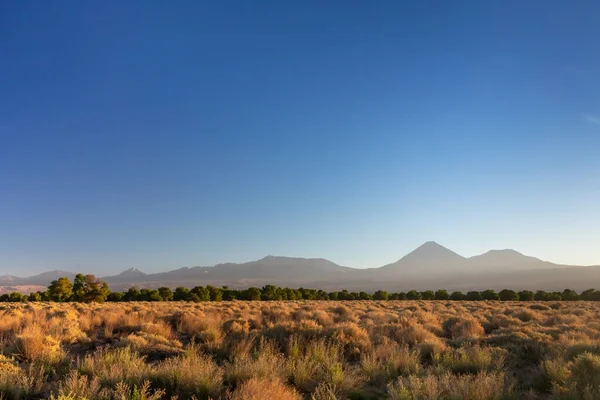 アタカマ砂漠 アンデス 美しい景色と風景 — ストック写真