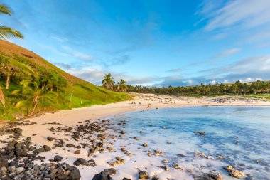Paskalya Adası 'ndaki Anakena Sahili, Şili' deki Rapa Nui. Güney Amerika.