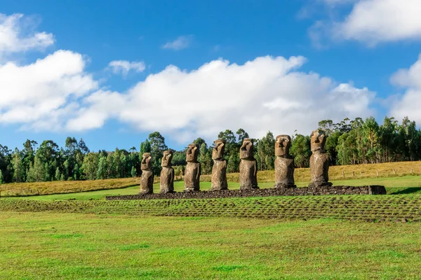 Sept Ahu Akivi Moai Qui Sont Les Seuls Moai Faire — Photo