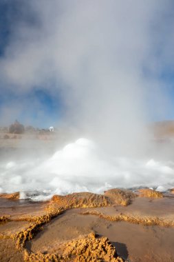 El Tatio gayzerleri, San Pedro de Atacama, Şili. Güney Amerika.
