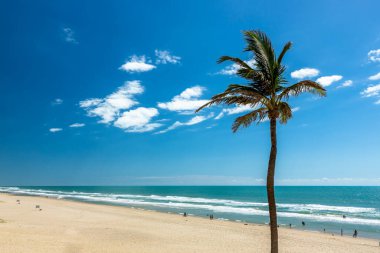 Brezilya 'nın Fortaleza şehrindeki Aquiraz bölgesinde Porto das Dunas plajı. Güney Amerika.