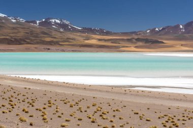 Atacama Çölü, Şili. Salar Aguas Calientes. Tuyacto Gölü. Güney Amerika.