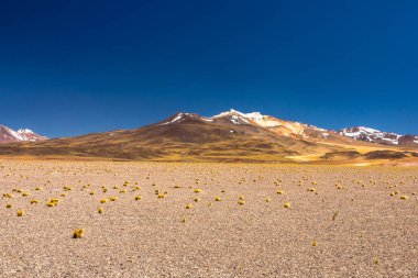 Atacama Çölü, Şili. Salar Aguas Calientes. Tuyacto Gölü. Güney Amerika.