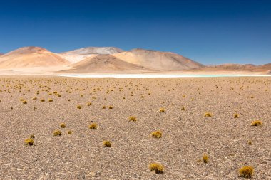 Atacama Çölü, Şili. Salar Aguas Calientes. Tuyacto Gölü. Güney Amerika.